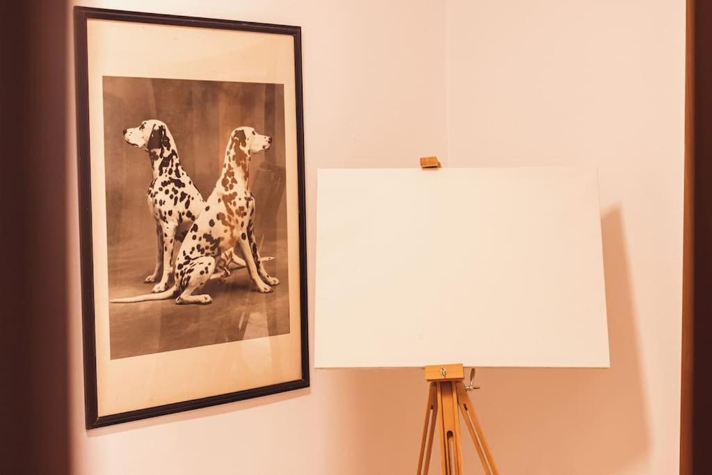 Art Studio Myslym Shyri 티라나 외부 사진